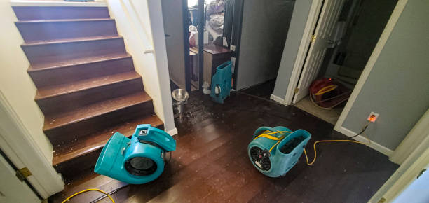 Best Flood damage cleanup  in West Yarmouth, MA