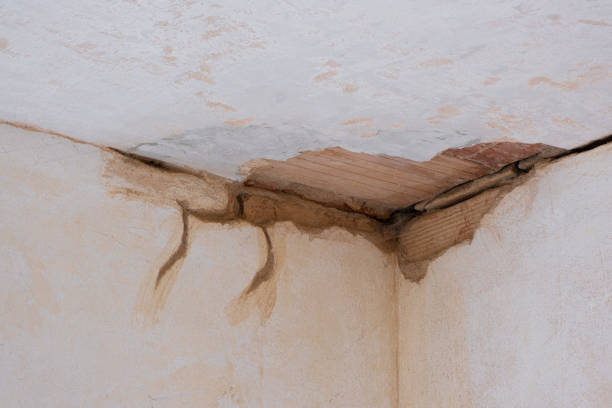 Best Sewage cleanup and water damage restoration  in West Yarmouth, MA