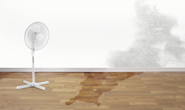Best Water damage repair service  in West Yarmouth, MA