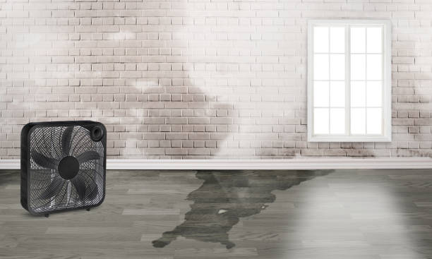 Best 24/7 water damage repair  in West Yarmouth, MA