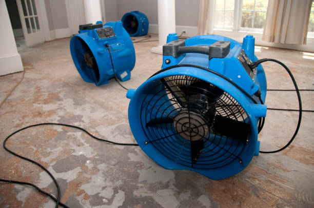 Best Sewage cleanup and water damage restoration  in West Yarmouth, MA