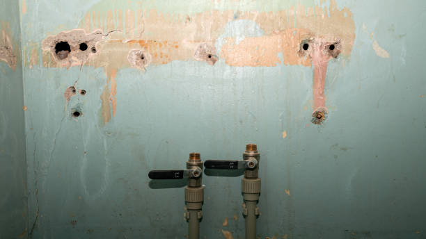 Best Local water damage restoration  in West Yarmouth, MA