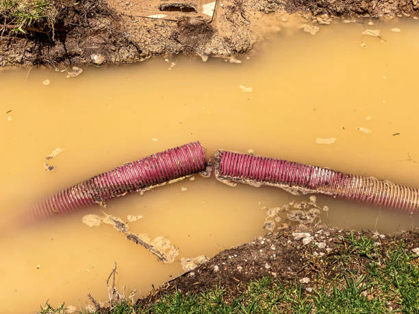Best Water damage restoration process  in West Yarmouth, MA
