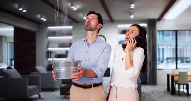 Best Mold removal after water damage  in West Yarmouth, MA